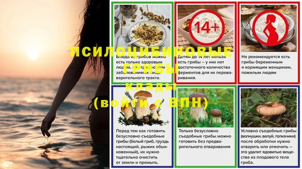 бошки Зерноград