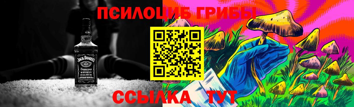 Псилоцибиновые грибы Psilocybine cubensis  Псилоцибиновые грибы Cubensis  Вход с VPN  купить  цена  Ивантеевка 