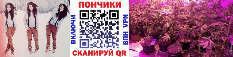 Канабис SATIVA & INDICA  Ивантеевка 
